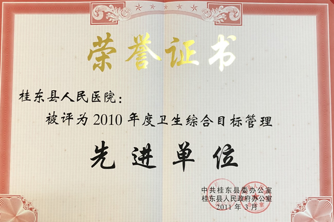 2010年衛(wèi)生綜合目標(biāo)管理先進(jìn)單位